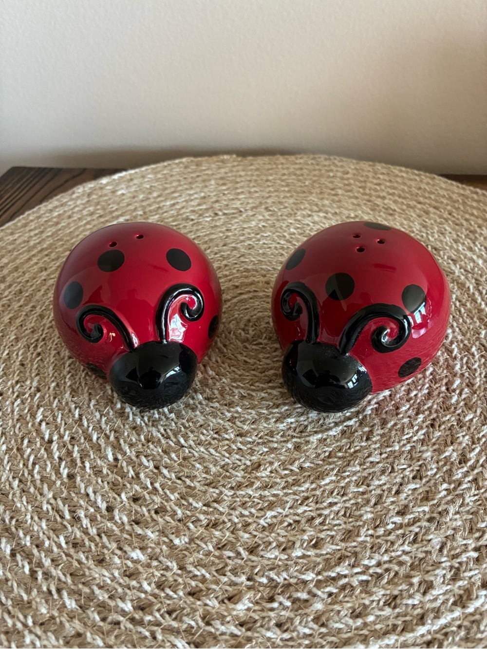 Red Ladybug Ceramic Salt and Pepper Shaker Set